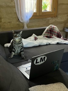 Photo de galerie - Cours d'informatique