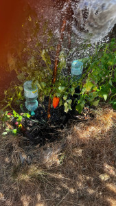 Photo de galerie - Jardinier