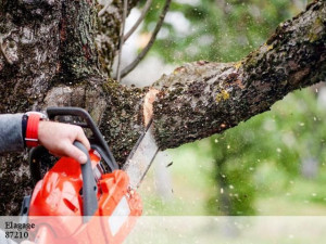 Photo de galerie - Paysagiste - Aménagement du jardin