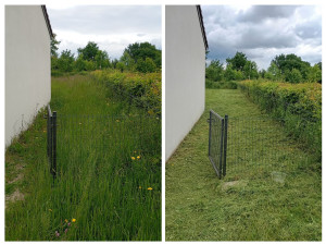 Photo de galerie - Tonte de pelouse - Débroussaillage
