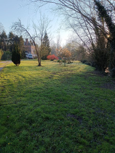Photo de galerie - Tonte de pelouse - Débroussaillage
