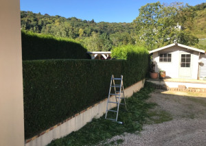 Photo de galerie - Taille 