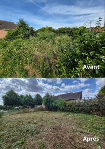 Photo de galerie - Mise au propre d'une parcelle.