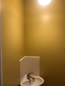 Photo de galerie - Réalisation d’une peinture dans des toilettes.