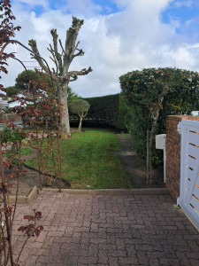 Photo de galerie - Entretien des espaces vert,désherbage, tonte, taille de haies et élagages. 