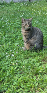 Photo de galerie - Olympe 