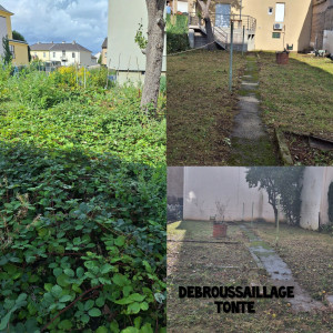 Photo de galerie - Nettoyage du terrain 