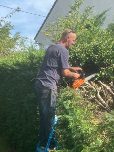 Photo de galerie - Tailler une haie descendre a 2 metre chez un client