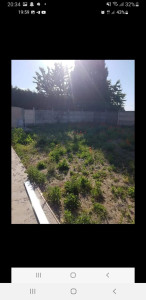 Photo de galerie - Paysagiste - Aménagement du jardin