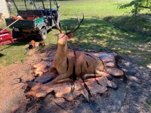 Photo de galerie - Sculpture cerf à la tronçonneuse 