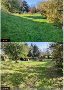 Photo de galerie - Première tonte/ débroussaillage 