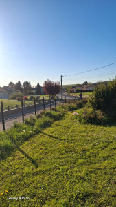 Photo de galerie - Débroussaillage 