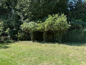 Photo de galerie - Elagage et coupe d'arbres