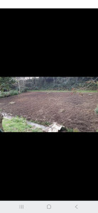 Photo de galerie - Coupe et jardinage de terrains 