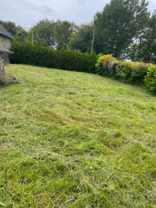 Photo de galerie - Tonte de pelouse - Débroussaillage