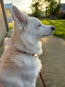 Photo de galerie - Kitty ❤️ qui vient maintenant souvent depuis 2/3 ans