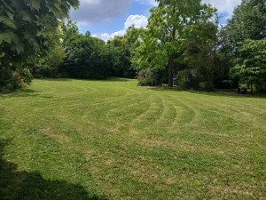 Photo de galerie - Tonte pelouse