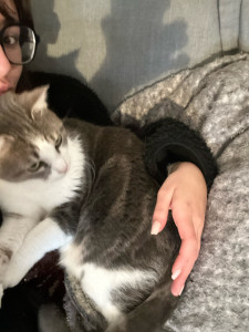 Photo de galerie - Des câlins!!!