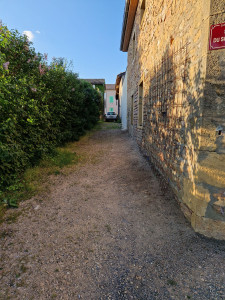 Photo de galerie - Tonte de pelouse - Débroussaillage