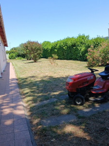 Photo de galerie - Entretiend terrain haie