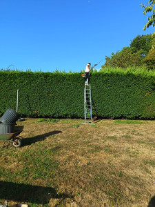 Photo de galerie - Taille de haies et d'arbustes