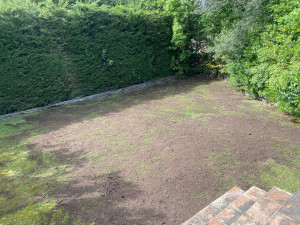 Photo de galerie - Scarification d’un gazon  