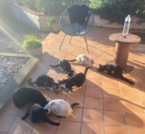 Photo de galerie - ?