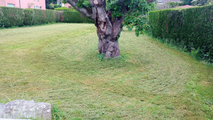 Photo de galerie - Après 