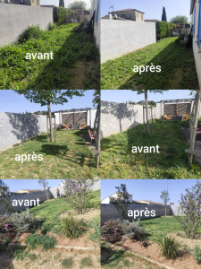 Photo de galerie - Pelouse 600m2