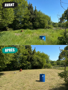Photo de galerie - Tonte de pelouse - Débroussaillage