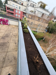 Photo de galerie - Plantation 