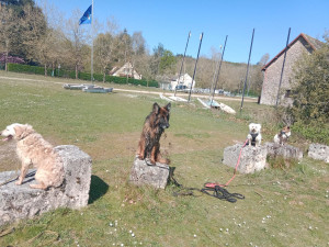 Photo de galerie - Position assis. pas bouger dans les milieux naturels 
