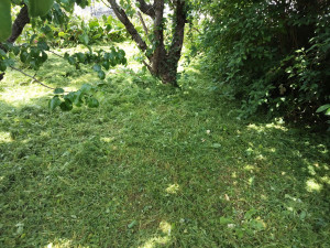 Photo de galerie - Après 