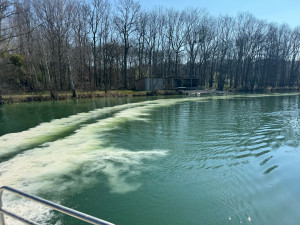 Photo de galerie - Paysagiste - Aménagement du jardin