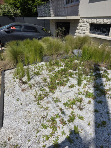 Photo de galerie - Jardinier