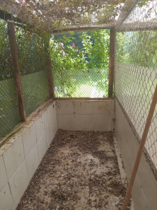 Photo de galerie - Nettoyage de chatières