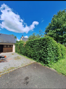 Photo de galerie - Haies 