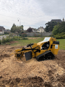 Photo de galerie - Rognage de souche 