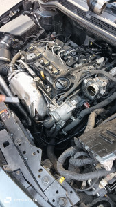 Photo de galerie - Distribution vidange kit embrayage...



