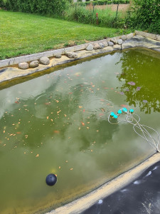 Photo de galerie - Paysagiste