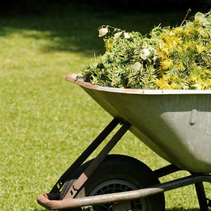 Photo de galerie - Jardinier