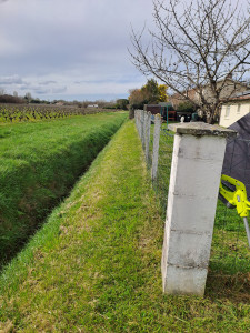 Photo de galerie - Tonte terrain