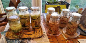 Photo de galerie - Légumes fermentés... c'est la santé.!!