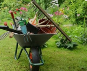 Photo de galerie - Jardinage 