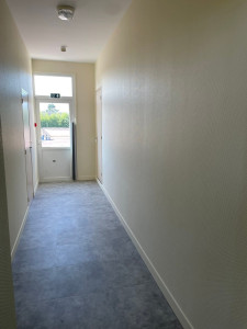 Photo de galerie - Peinture - Tapisserie