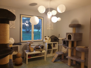 Photo de galerie - Garde chat