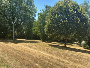 Photo de galerie - Débroussaillage et remise au propre du terrain. Coupe des herbes hautes et finitions pour obtenir un espace propre et entretenu.