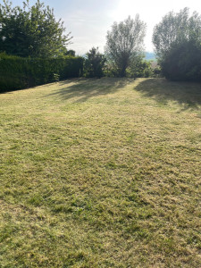 Photo de galerie - Tonte après scarification 