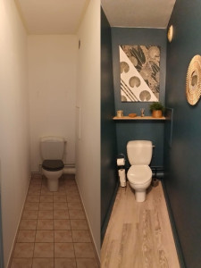 Photo de galerie - Renouvellement des toilettes 
