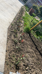 Photo de galerie - Jardinier